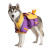 Husky In Jacket Vinyl Car Decal Sticker – Waterproof & UV-Resistant 6.826666666666667"