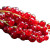 Fresh Red Currants Vinyl Car Decal Sticker – Waterproof & UV-Resistant 3.4133333333333336"