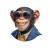 Cheeky Monkey Studio Vinyl Car Decal Sticker – Waterproof & UV-Resistant 6.826666666666667"