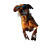 Surfing Dog V2 Vinyl Car Decal Sticker – Waterproof & UV-Resistant 3.4133333333333336"