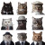 Cat-Human Reversal Vinyl Car Decal Sticker – Waterproof & UV-Resistant 3.4133333333333336"