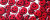 Smiling Cherries V2 Vinyl Car Decal Sticker – Waterproof & UV-Resistant 4.693333333333333"