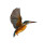Diving Kingfisher V2 Vinyl Car Decal Sticker – Waterproof & UV-Resistant 3.946666666666666