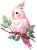 Pink Cockatiel Sticker Vinyl Car Decal Sticker – Waterproof & UV-Resistant 4.266666666666667"