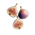 Delicious Figs Vinyl Car Decal Sticker – Waterproof & UV-Resistant 6.826666666666667"