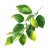 Lemon Leaf Branch Vinyl Car Decal Sticker – Waterproof & UV-Resistant 6.826666666666667"