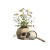Chamomile Skull Art Vinyl Car Decal Sticker – Waterproof & UV-Resistant 3.4133333333333336"