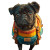 Pug With Backpack Vinyl Car Decal Sticker – Waterproof & UV-Resistant 3.4133333333333336"