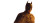 Dark Knight Scene Vinyl Car Decal Sticker – Waterproof & UV-Resistant 2.453333333333333"