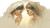 Praying Sisters Vinyl Car Decal Sticker – Waterproof & UV-Resistant 5.4