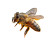 Bee V3 Vinyl Car Decal Sticker – Waterproof & UV-Resistant 3.4133333333333336"