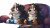 Gaming Bernese Dogs Vinyl Car Decal Sticker – Waterproof & UV-Resistant 5.4