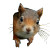 Red Squirrel Exploring Vinyl Car Decal Sticker – Waterproof & UV-Resistant 3.4133333333333336"