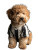 Teddy Dog Juventus Vinyl Car Decal Sticker – Waterproof & UV-Resistant 4.1066666666666665"