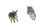 Lynx Leaping Deer Vinyl Car Decal Sticker – Waterproof & UV-Resistant 2.72"