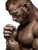 Rugged Bodybuilder Portrait Vinyl Car Decal Sticker – Waterproof & UV-Resistant 8.213333333333333"
