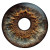 Macro Iris Scan Vinyl Car Decal Sticker – Waterproof & UV-Resistant 6.826666666666667"
