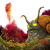 Menacing Forest Snail Vinyl Car Decal Sticker – Waterproof & UV-Resistant 3.4133333333333336"