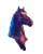 Partying Horse Vinyl Car Decal Sticker – Waterproof & UV-Resistant 4.0"