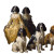 Spaniels As Nobility Vinyl Car Decal Sticker – Waterproof & UV-Resistant 6.826666666666667"
