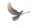 Peaceful Dove V3 Vinyl Car Decal Sticker – Waterproof & UV-Resistant 2.72"