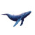 Galactic Whale Vinyl Car Decal Sticker – Waterproof & UV-Resistant 3.4133333333333336"
