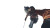 Determined Skier Jump Vinyl Car Decal Sticker – Waterproof & UV-Resistant 5.4
