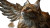Winged Maine Coon Vinyl Car Decal Sticker – Waterproof & UV-Resistant 2.72"