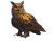 Golden Giant Owl Vinyl Car Decal Sticker – Waterproof & UV-Resistant 6.1866666666666665"