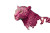 Pink Jungle Leopard Vinyl Car Decal Sticker – Waterproof & UV-Resistant 2.986666666666667"