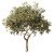 Orange Tree Illustration Vinyl Car Decal Sticker – Waterproof & UV-Resistant 3.4133333333333336"