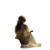 Mysterious Reading Girl Vinyl Car Decal Sticker – Waterproof & UV-Resistant 6.826666666666667"