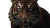 Fierce Dark Tiger Vinyl Car Decal Sticker – Waterproof & UV-Resistant 5.4