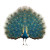 Peacock Display V2 Vinyl Car Decal Sticker – Waterproof & UV-Resistant 3.4133333333333336"