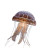 Shell Jellyfish Vinyl Car Decal Sticker – Waterproof & UV-Resistant 3.4133333333333336"
