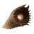 Giant Sandworm Vinyl Car Decal Sticker – Waterproof & UV-Resistant 3.4133333333333336"
