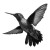 Colibri Etching Vinyl Car Decal Sticker – Waterproof & UV-Resistant 6.826666666666667"