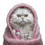 Cat With Shampoo Vinyl Car Decal Sticker – Waterproof & UV-Resistant 3.4133333333333336"