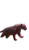 Cactus Jaguar Vinyl Car Decal Sticker – Waterproof & UV-Resistant 4.8533333333333335"