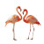 Playing Flamingos Vinyl Car Decal Sticker – Waterproof & UV-Resistant 3.4133333333333336"