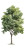 Garden Tree Vinyl Car Decal Sticker – Waterproof & UV-Resistant 10.2