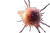 Exploding Cancer Cell Vinyl Car Decal Sticker – Waterproof & UV-Resistant 2.933333333333333"