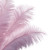 Pink Ostrich Feathers Vinyl Car Decal Sticker – Waterproof & UV-Resistant 3.4133333333333336"