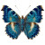 Iridescent Blue Butterfly V2 Vinyl Car Decal Sticker – Waterproof & UV-Resistant 6.826666666666667"