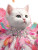 Feathered Kitten Vinyl Car Decal Sticker – Waterproof & UV-Resistant 8.213333333333333"