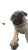 Chubby Pug Selfie V3 Vinyl Car Decal Sticker – Waterproof & UV-Resistant 9.706666666666667"