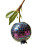 Disco Blueberry Vinyl Car Decal Sticker – Waterproof & UV-Resistant 8.0"