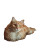 Red Cat With Saxophone Vinyl Car Decal Sticker – Waterproof & UV-Resistant 3.4133333333333336"