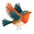 Flying European Robin Vinyl Car Decal Sticker – Waterproof & UV-Resistant 6.826666666666667"