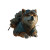 Heroic Jetpack Shiba Vinyl Car Decal Sticker – Waterproof & UV-Resistant 3.4133333333333336"